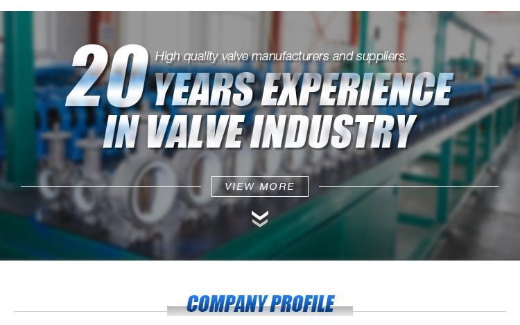 Industrial DN600 Pn10 Pn25 NBR Seat Electric Butterfly Valve Double Flanged Quick Open