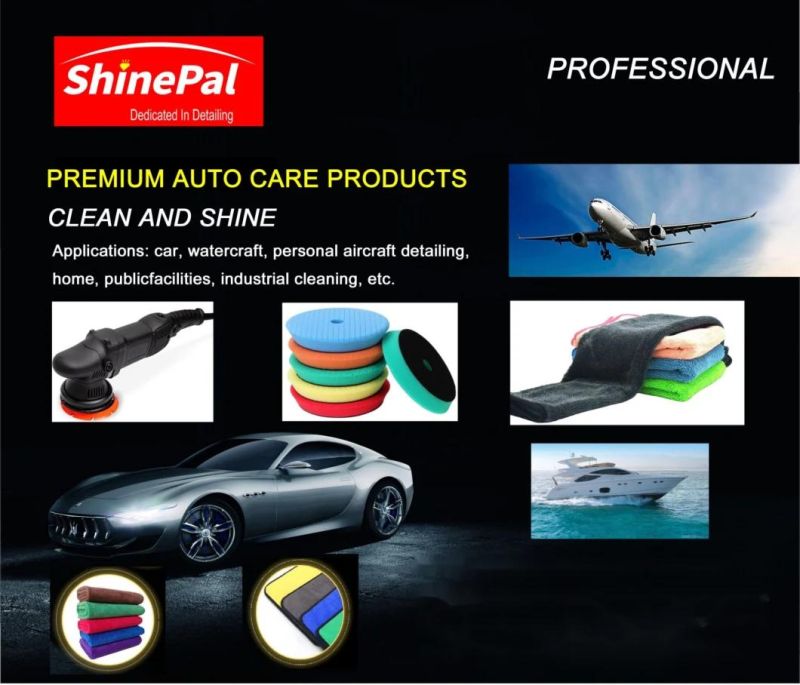Shinepal Random Orbit DC 12V Mini Cordless Car Beauty Polisher with Polishing Pad