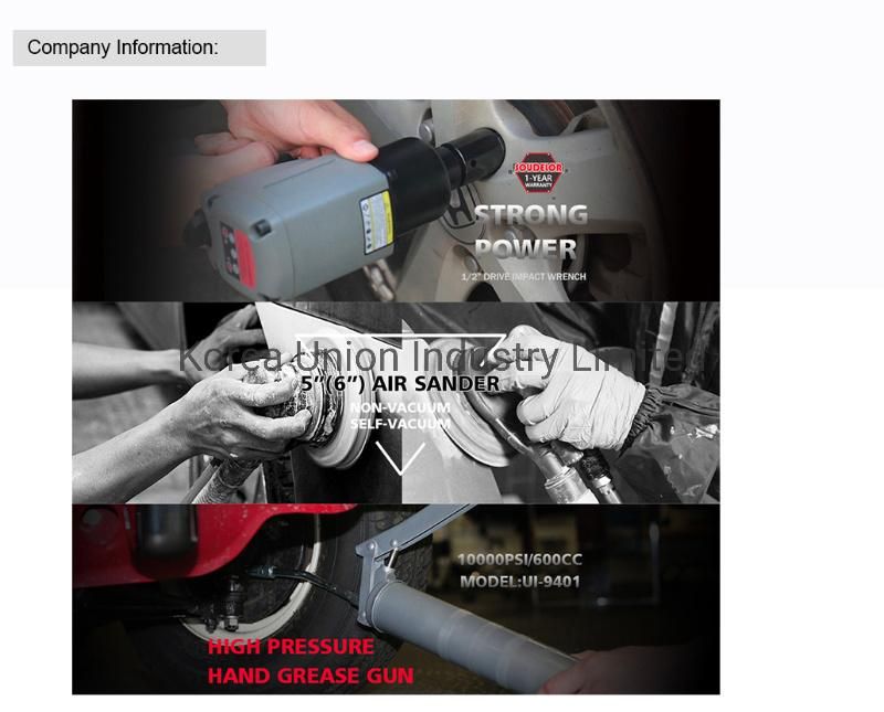 Strong Power Polisher Car Sander 5" (6") Machine Polisher Sander
