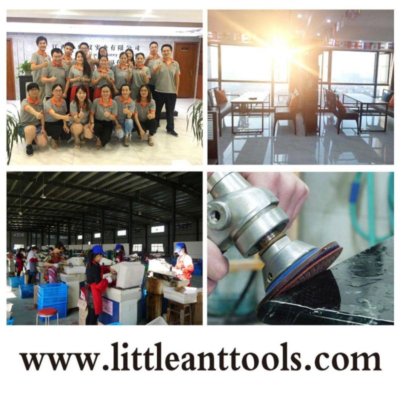Diamond Tool of Dry Polishing Pads