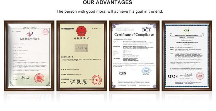 Daofeng 7inch Polishing Backing Pad (foam)
