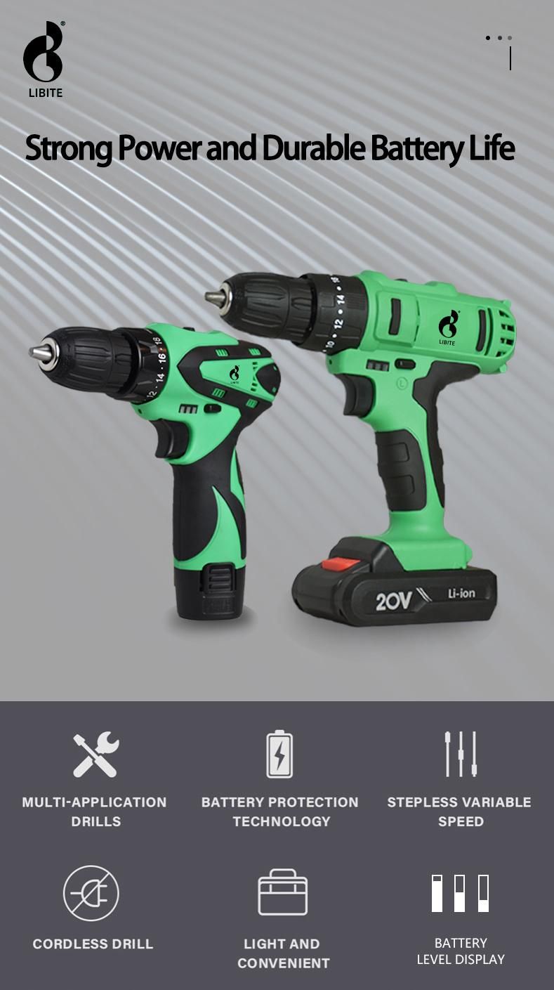 Werkin 12V Cordless Screwdriver Drill with Accessories