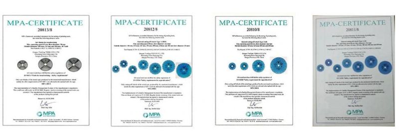 China High Quality Tct Circle Saw Blade for Wood Cutting (ISO: 9001: 2000)