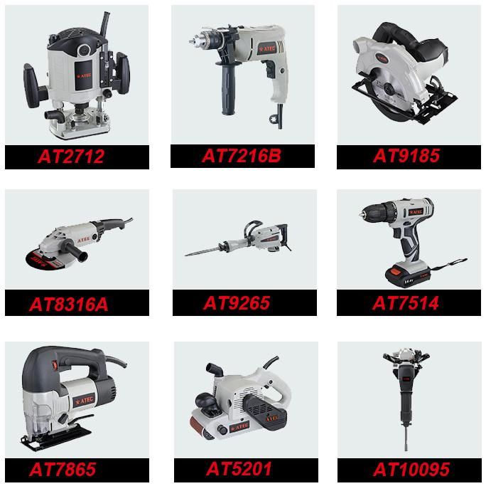 Portable Professional 750W 10mm Hand Tool Electric Drill (AT7210)