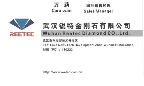 Hot Selling DTH Hammer Bits/Tricone Bit/PDC Bits PDC Buttons Made in China