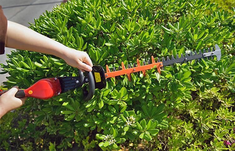 Anti-Blocking Function DC 21V Cordless Lithium Battery V Powered Hedge Trimmer TM-Lt21V603