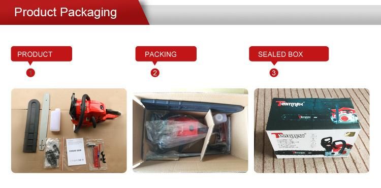 Good Sale Ce Garden Cutting Machine Cheap Mini Petrol Chainsaw Price