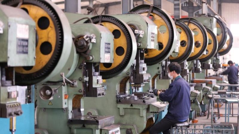 Wholesale 230V 500W Directly Drive 200mm Disc and Belt Sander for Metal Work