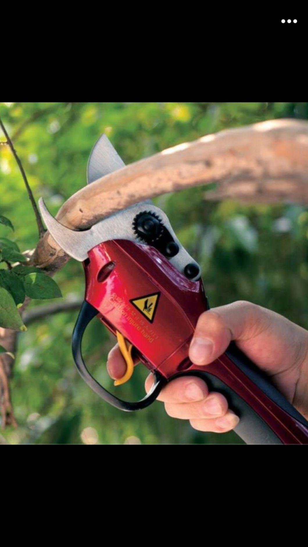 Jinjin Factory Professional Making Cordless Electric Pruning Shears with Lithium Powered Battery 21V