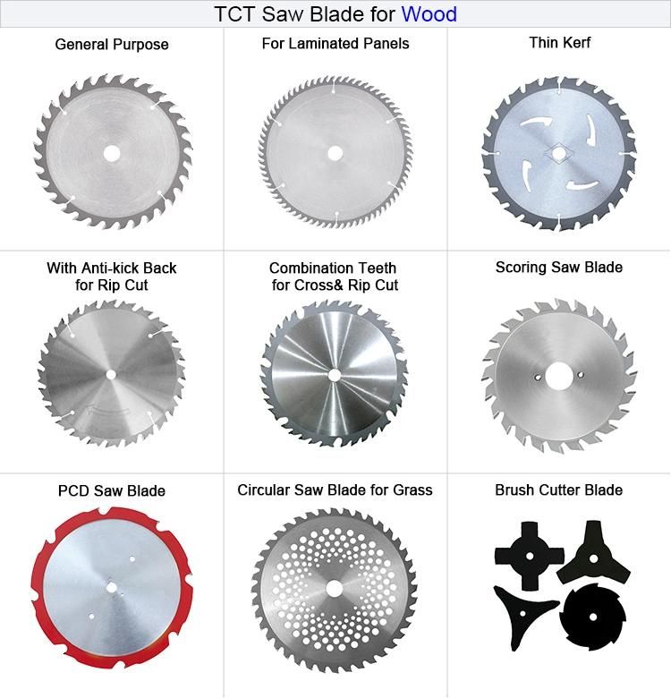 Tct Circular Adjustable Scoring Saw Blade with Conical Teeth