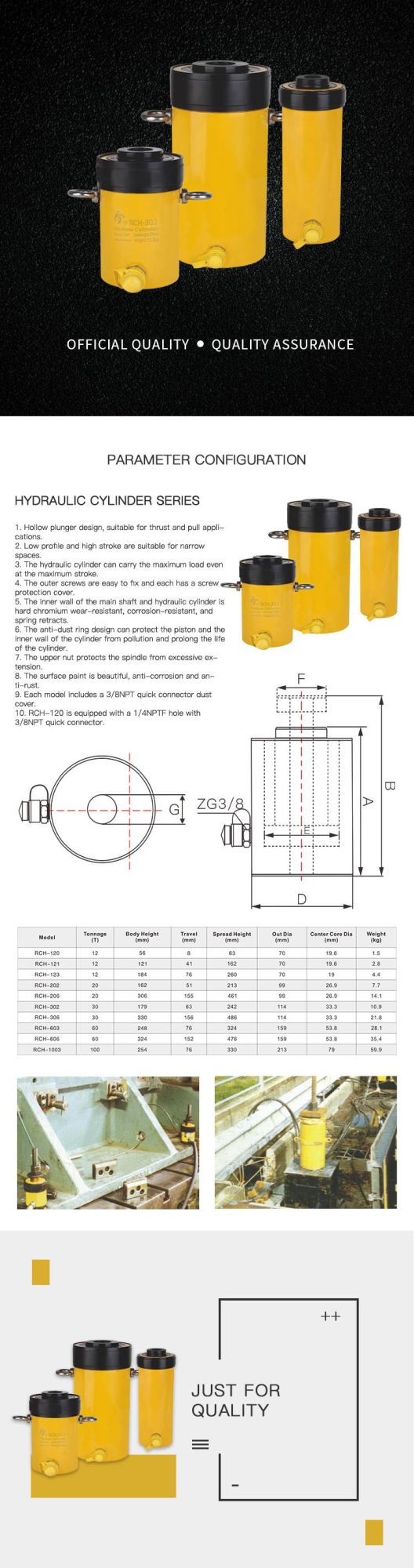 20t 51mm American Standard Hydraulic Hollow Plunger Cylinder (RCH-202)