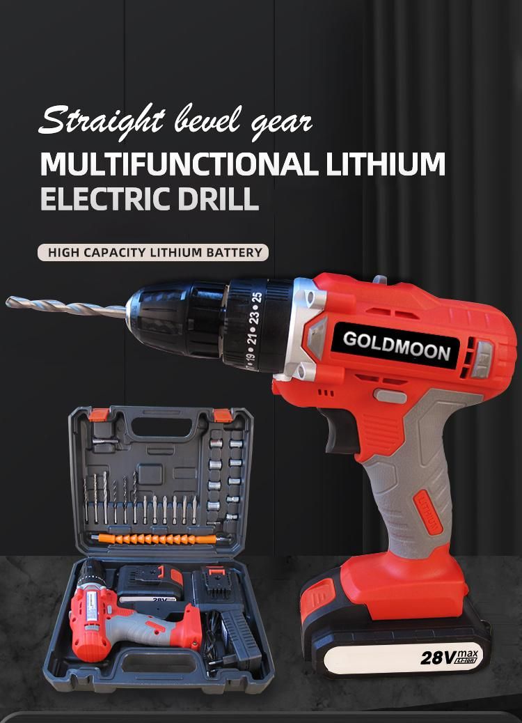 Speed 0-500rpm 0-2000rpm Goldmoon Carton LED Light Power Tools Set