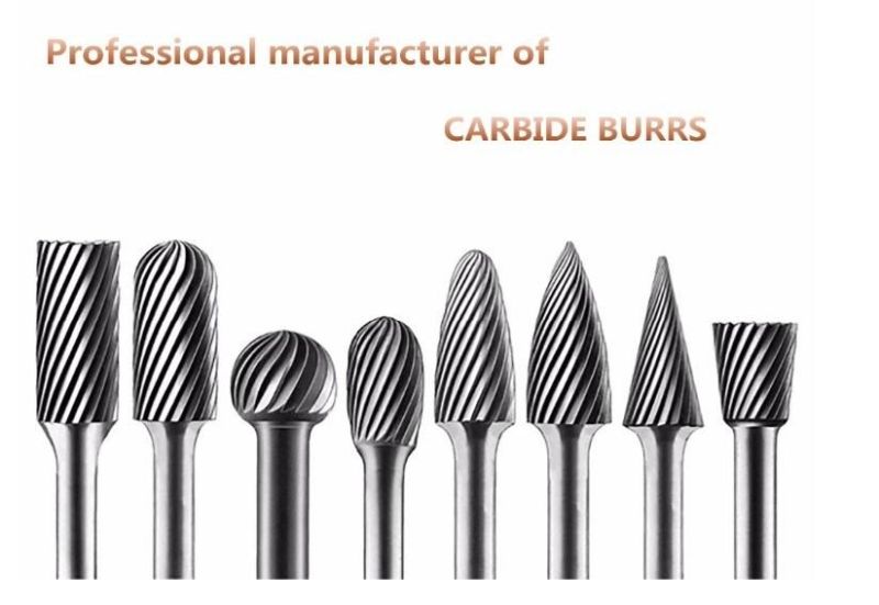 6PCS Extension Length Tungsten Carbide Burrs Set (SED-RB-S6E)