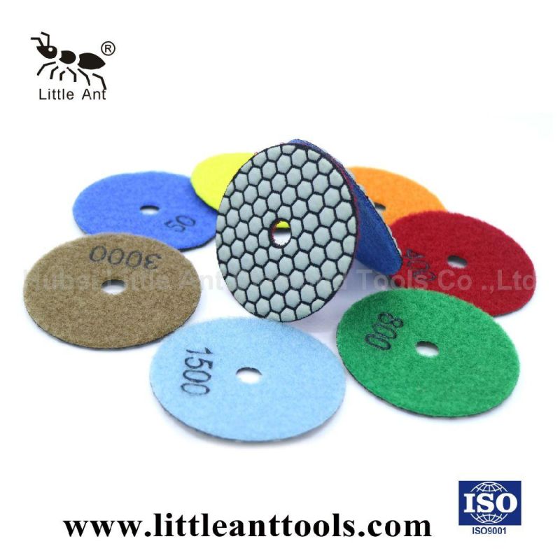 Diamond Tool of Dry Polishing Pads