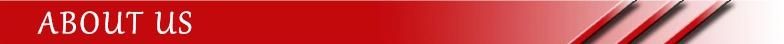 Efftool Jig Saw Professional Power Tool High Quality 860W Js80
