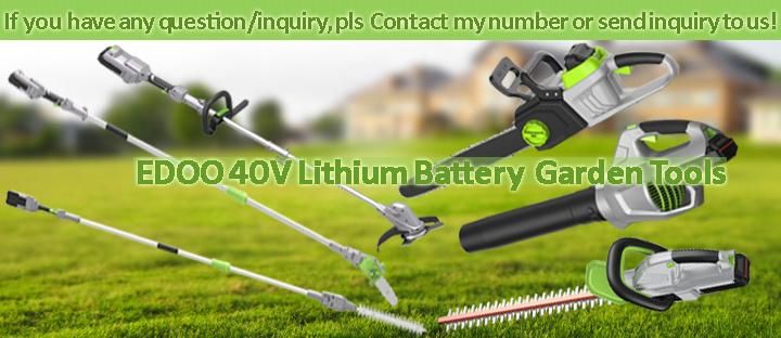 40V Portable Lithium Battery Pole Saw with Brush Motor