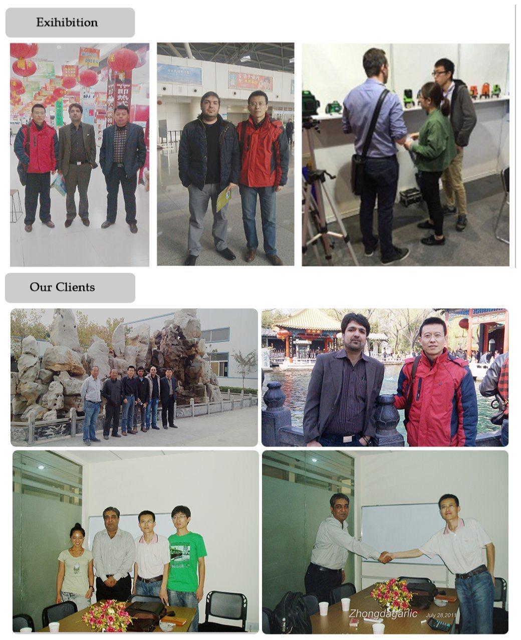 Professional Hand Electric Power Drills Supplier