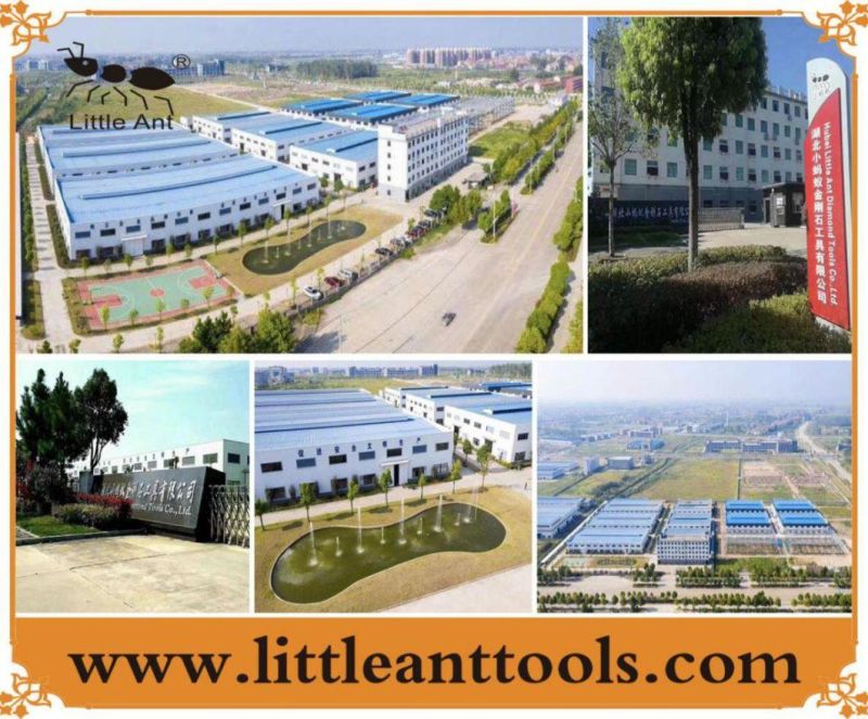 Diamond Tool of Dry Polishing Pads
