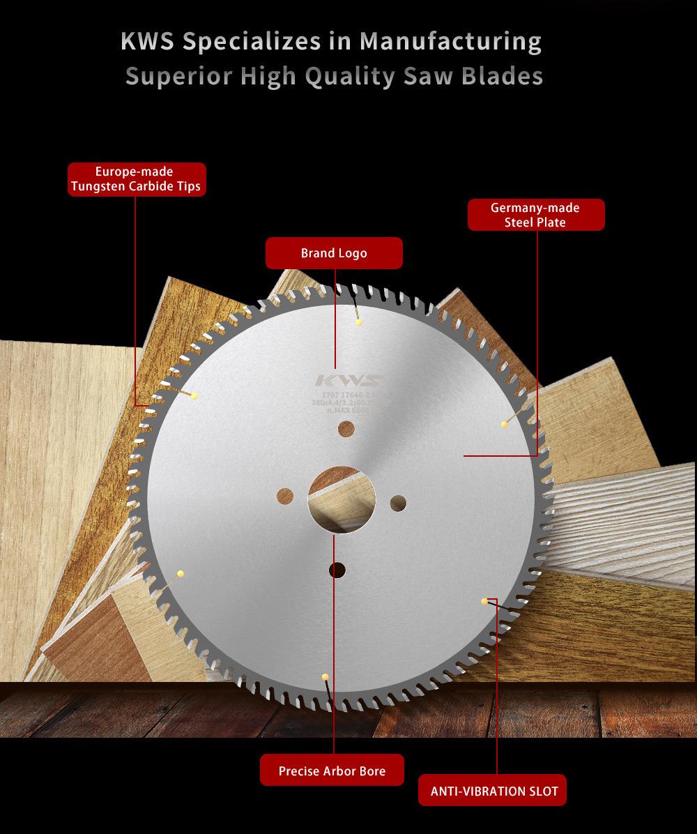 Tct Circular Saw Blade for Panel Sizing Machine with Perfect Cutting Performance