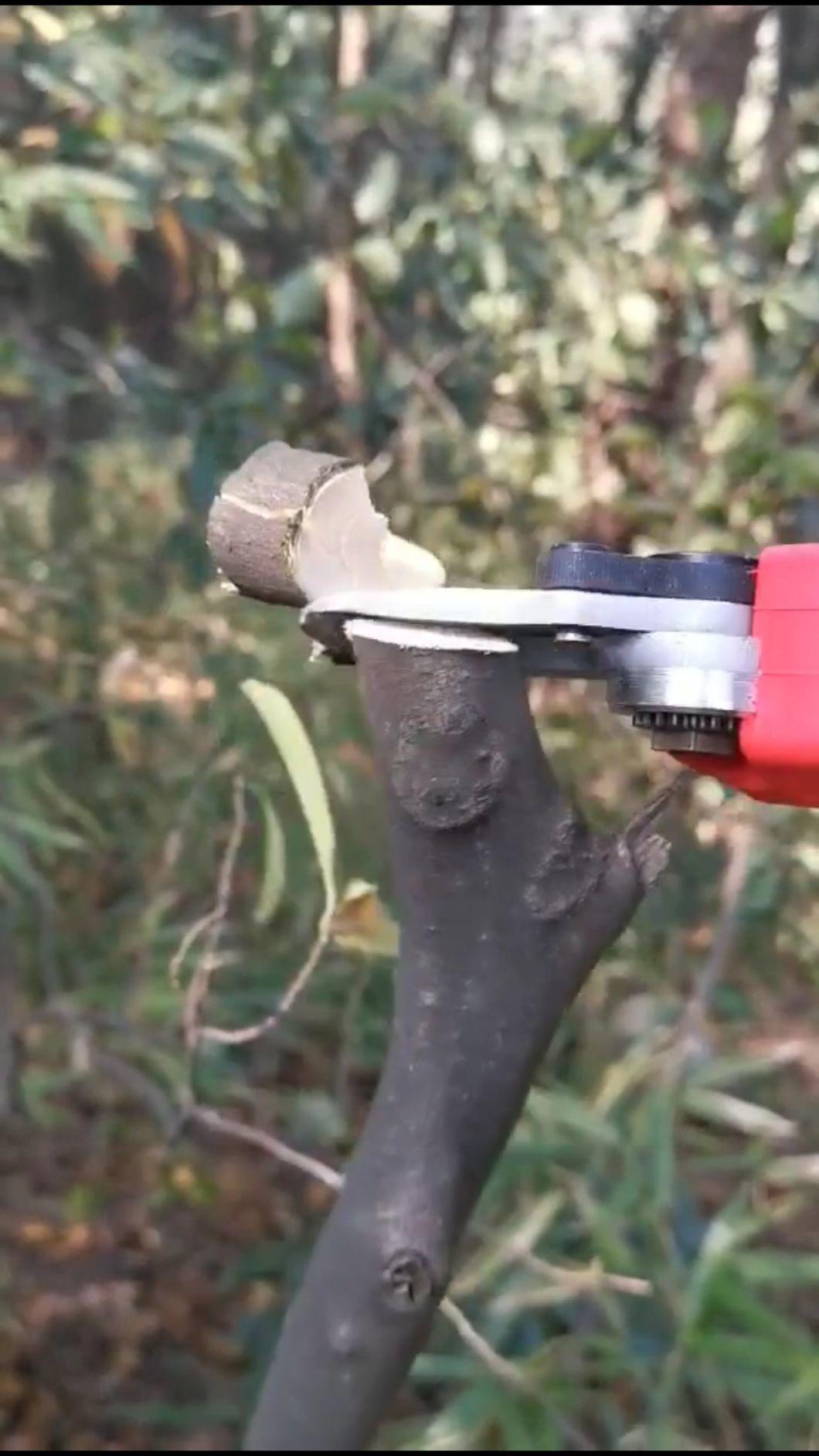 Professional Cordless Electric Pruning Shears with Lithium Powered Battery 21V