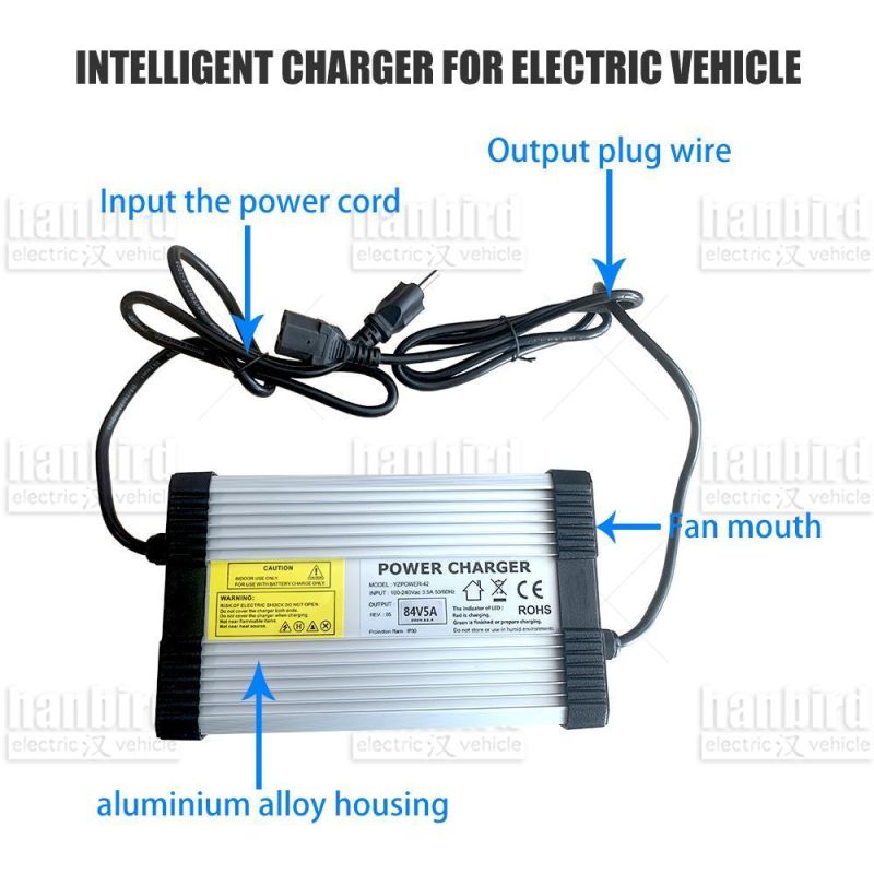 Automatic Battery Charger for Electric Vehicles